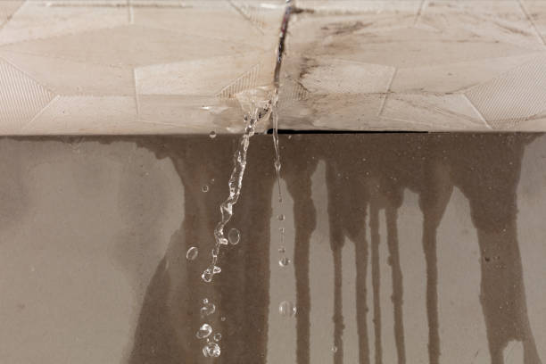 Professional Water Damage Repair technician working in Woody, CA